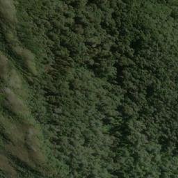 Satellite imagery of Punta Laurel, CL