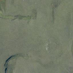 Satellite imagery of Bottle Rock, NZ