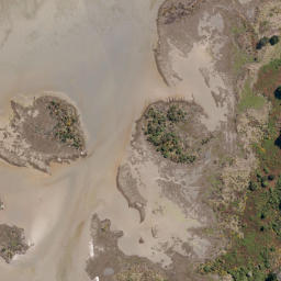 Satellite imagery of Doctors Point, NZ