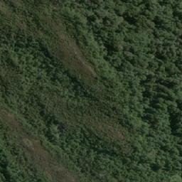 Satellite imagery of Punta Laurel, CL