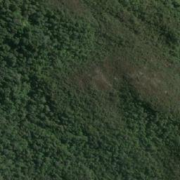 Satellite imagery of Punta Laurel, CL