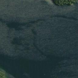 Satellite imagery of Punta Canelos, CL