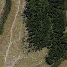Satellite imagery of DOUBLE HILL, NZ