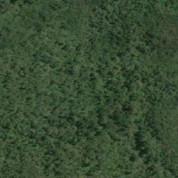 Satellite imagery of Punta Canelos, CL