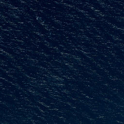 Satellite imagery of Purehurehu Point, NZ