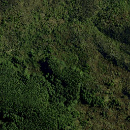 Satellite imagery of LONG RIDGE, NZ