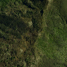 Satellite imagery of LONG RIDGE, NZ