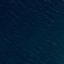 Satellite imagery of Purehurehu Point, NZ