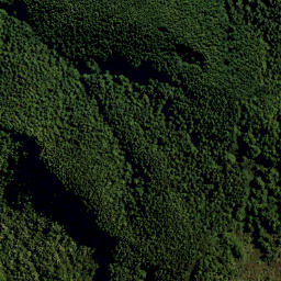 Satellite imagery of LONG RIDGE, NZ