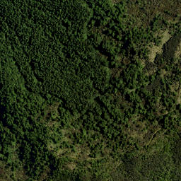 Satellite imagery of LONG RIDGE, NZ
