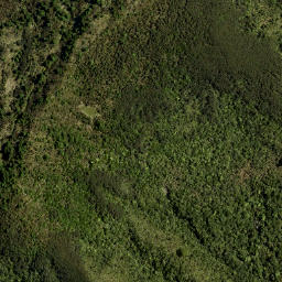 Satellite imagery of LONG RIDGE, NZ
