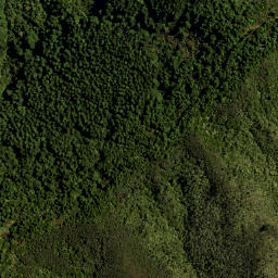 Satellite imagery of LONG RIDGE, NZ