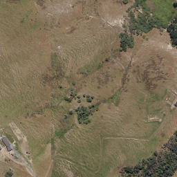Satellite imagery of Pilot Point, NZ