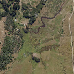 Satellite imagery of Pilot Point, NZ