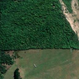 Satellite imagery of Heyward Point, NZ