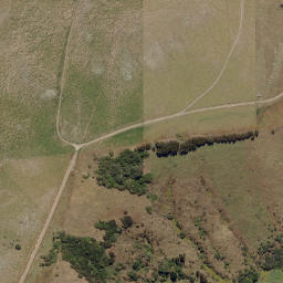 Satellite imagery of Pilot Point, NZ
