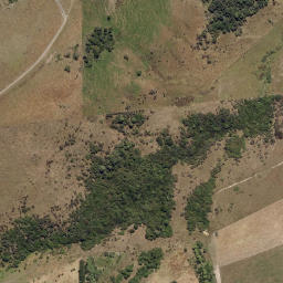 Satellite imagery of Pilot Point, NZ