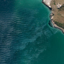 Satellite imagery of Taiaroa Head, NZ