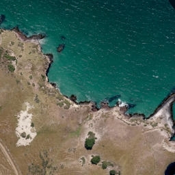 Satellite imagery of Taiaroa Head, NZ