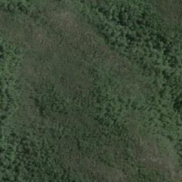 Satellite imagery of Punta Pina, CL