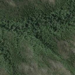 Satellite imagery of Punta Pina, CL