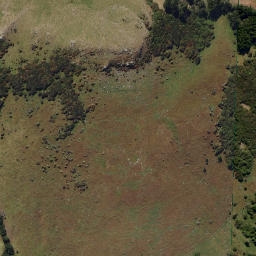 Satellite imagery of Otafelo Point, NZ
