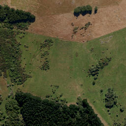 Satellite imagery of Otafelo Point, NZ