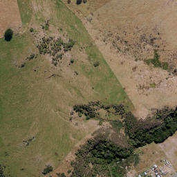 Satellite imagery of Otafelo Point, NZ