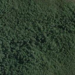 Satellite imagery of Punta Pina, CL