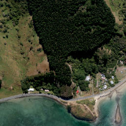 Satellite imagery of Otafelo Point, NZ