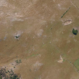 Satellite imagery of Harington Point, NZ