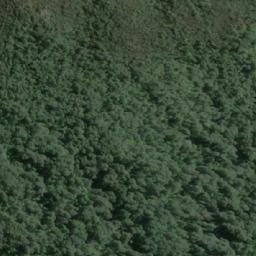 Satellite imagery of Punta Pina, CL