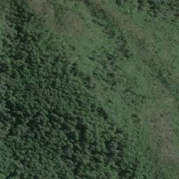 Satellite imagery of Punta Pina, CL