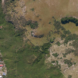 Satellite imagery of Harington Point, NZ