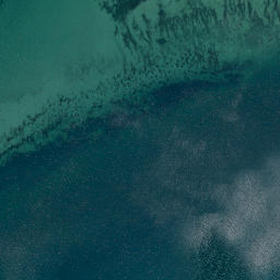 Satellite imagery of Tayler Point, NZ