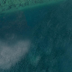 Satellite imagery of Tayler Point, NZ