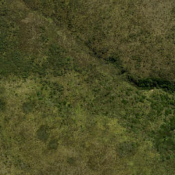 Satellite imagery of Swampy Spur, NZ