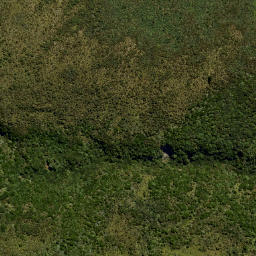 Satellite imagery of Swampy Spur, NZ