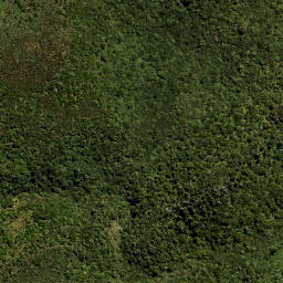 Satellite imagery of Swampy Spur, NZ