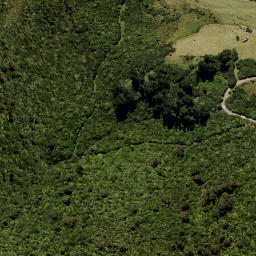 Satellite imagery of Leith Saddle, NZ