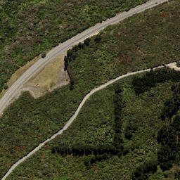 Satellite imagery of Leith Saddle, NZ