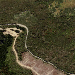 Satellite imagery of LEITH NO 2, NZ