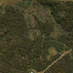 Satellite imagery of LEITH NO 2, NZ