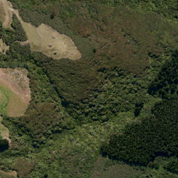 Satellite imagery of Goldie Point, NZ