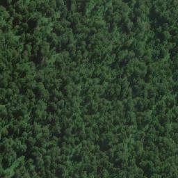 Satellite imagery of Cerro El Guacho, CL