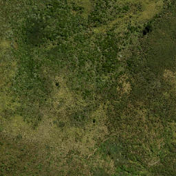 Satellite imagery of Swampy Spur, NZ