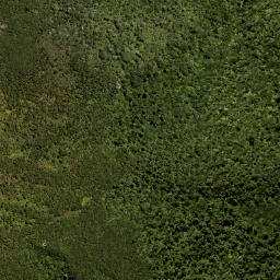 Satellite imagery of Swampy Spur, NZ