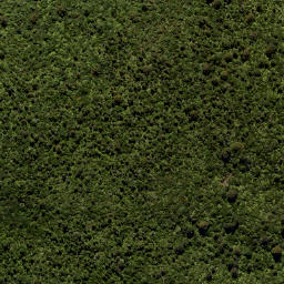 Satellite imagery of Leith Saddle, NZ