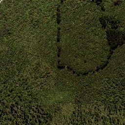 Satellite imagery of Leith Saddle, NZ