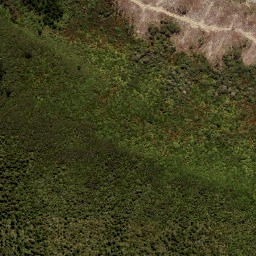 Satellite imagery of LEITH NO 2, NZ